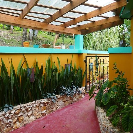 Riverhill Hideaway Monkey Fall Ngoại thất bức ảnh