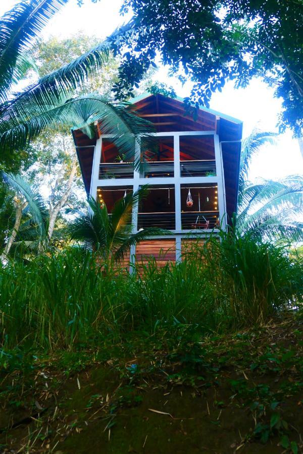 Riverhill Hideaway Monkey Fall Ngoại thất bức ảnh