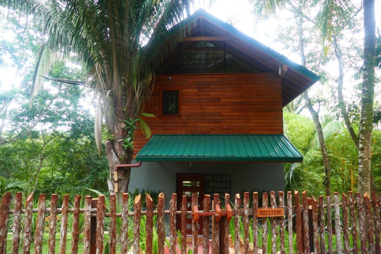 Riverhill Hideaway Monkey Fall Ngoại thất bức ảnh