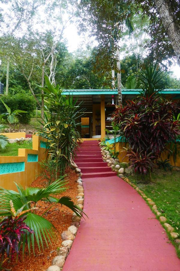 Riverhill Hideaway Monkey Fall Ngoại thất bức ảnh