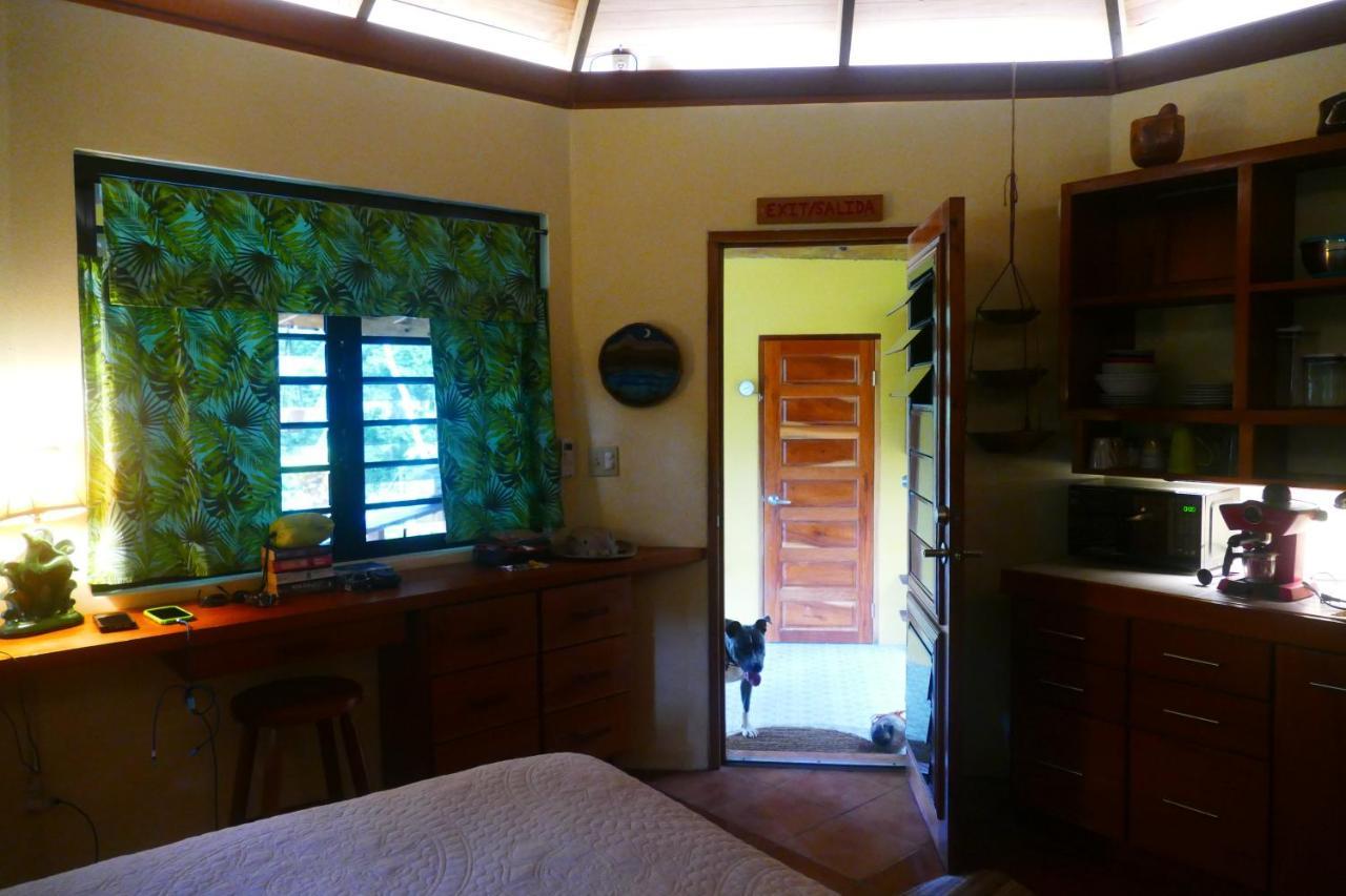Riverhill Hideaway Monkey Fall Ngoại thất bức ảnh