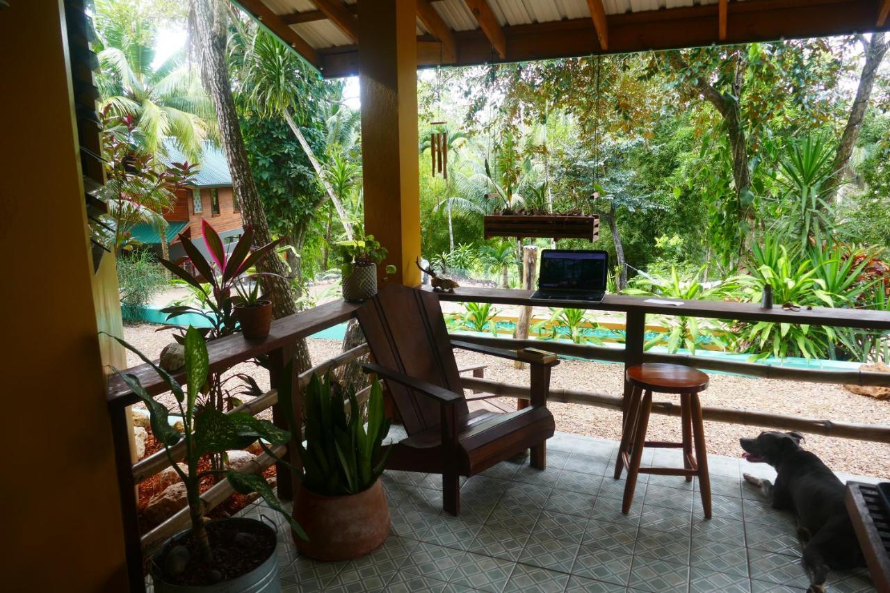 Riverhill Hideaway Monkey Fall Ngoại thất bức ảnh