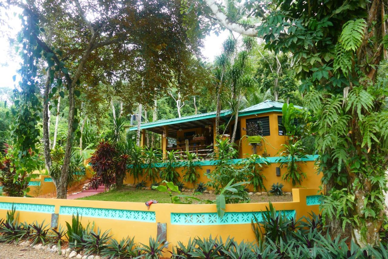 Riverhill Hideaway Monkey Fall Ngoại thất bức ảnh