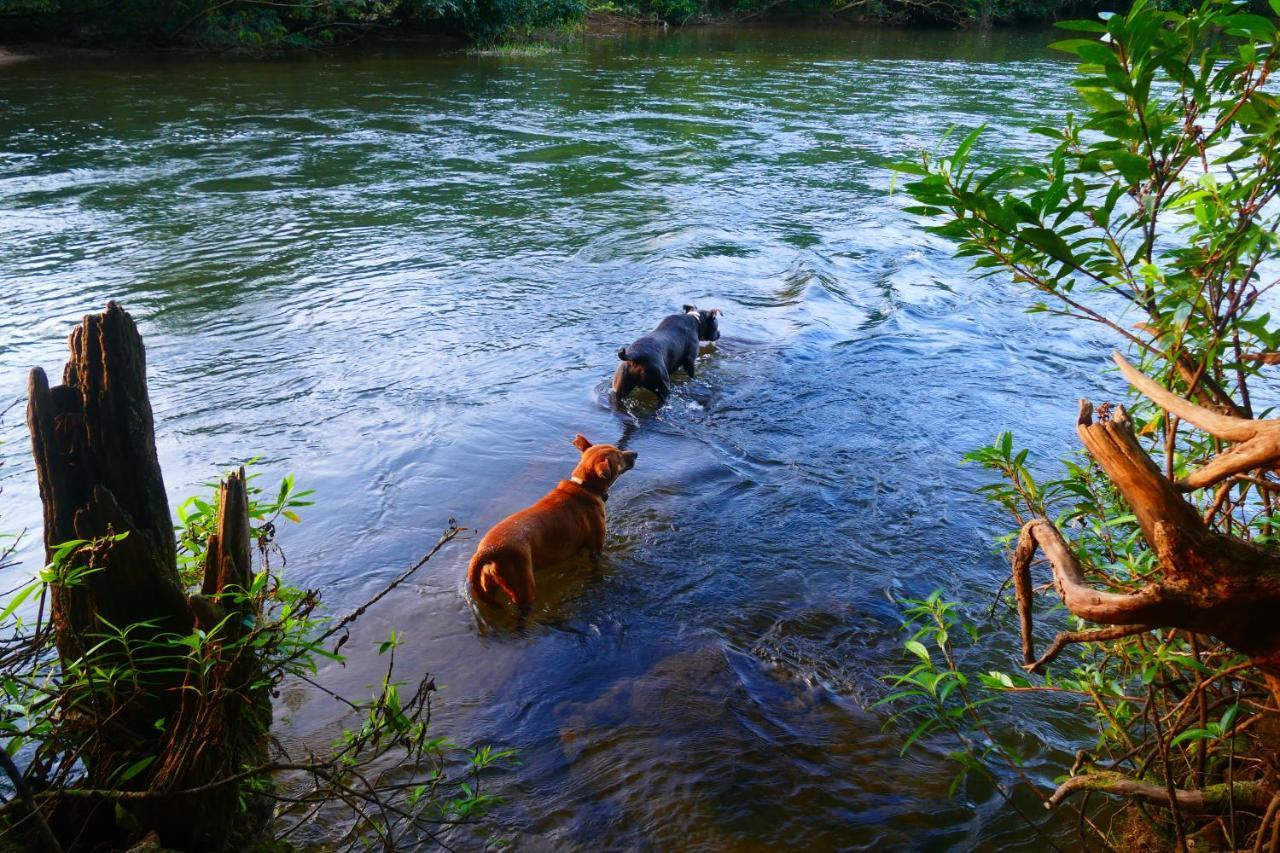 Riverhill Hideaway Monkey Fall Ngoại thất bức ảnh