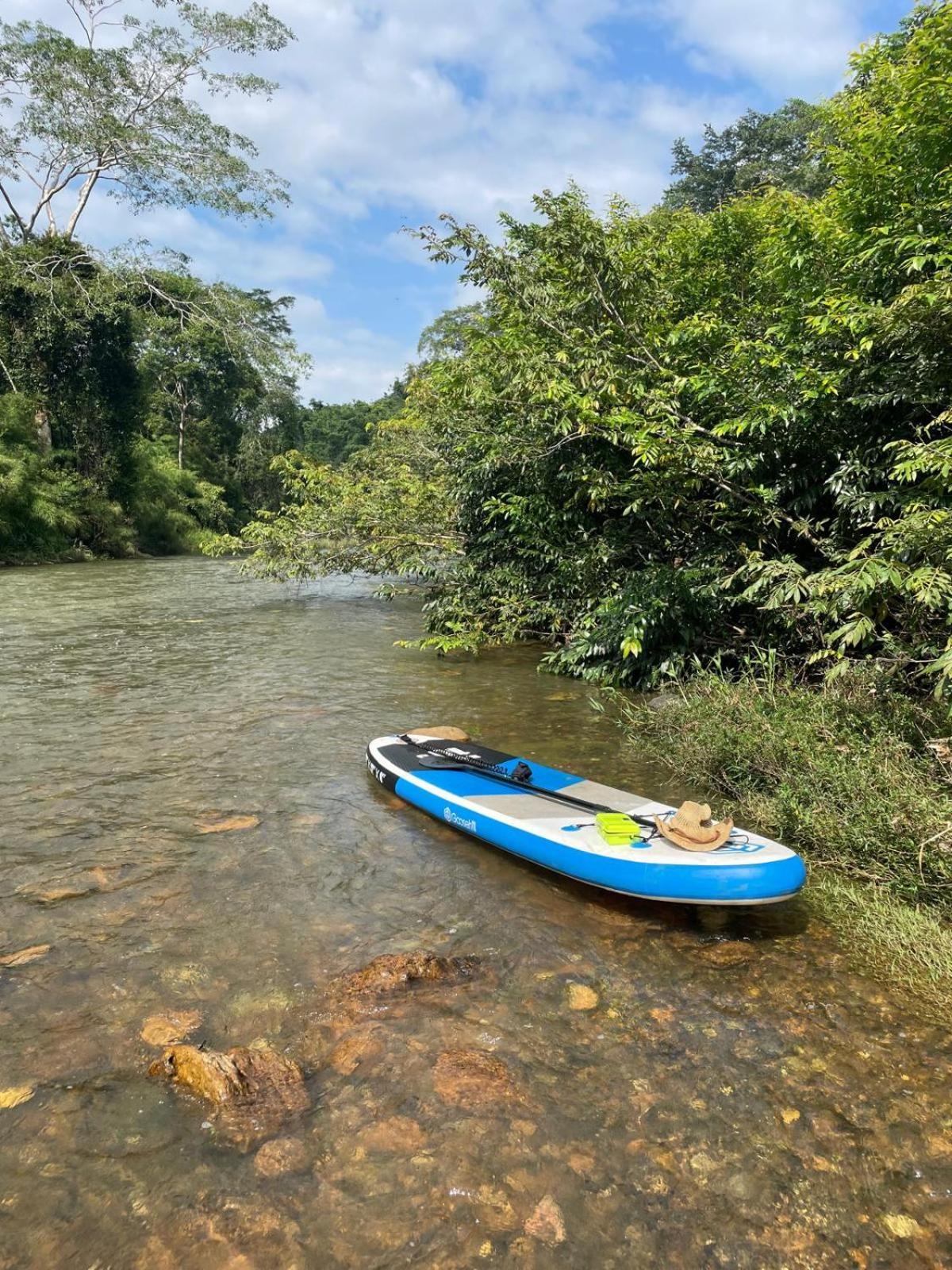 Riverhill Hideaway Monkey Fall Ngoại thất bức ảnh